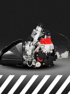 Rotax Micro Max
