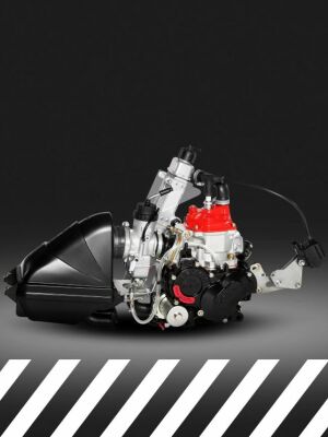 Rotax Mini Max
