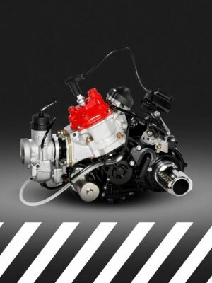 Rotax DD2
